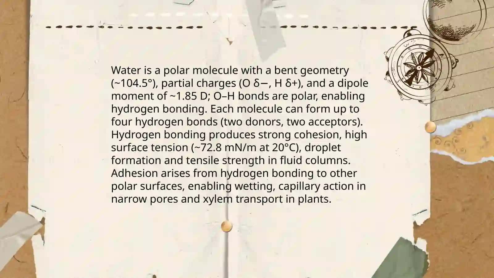 Water 4