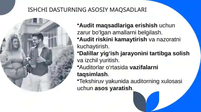 Auditorlik tekshruvi ishchi dasturi 4