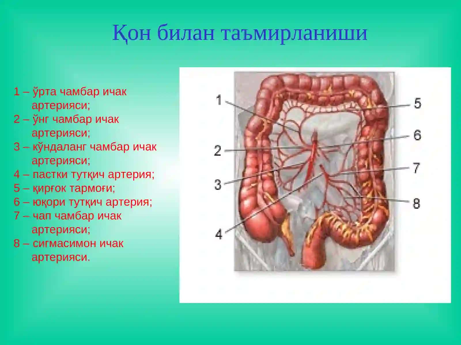 Йўғон ичак касалликлари 4
