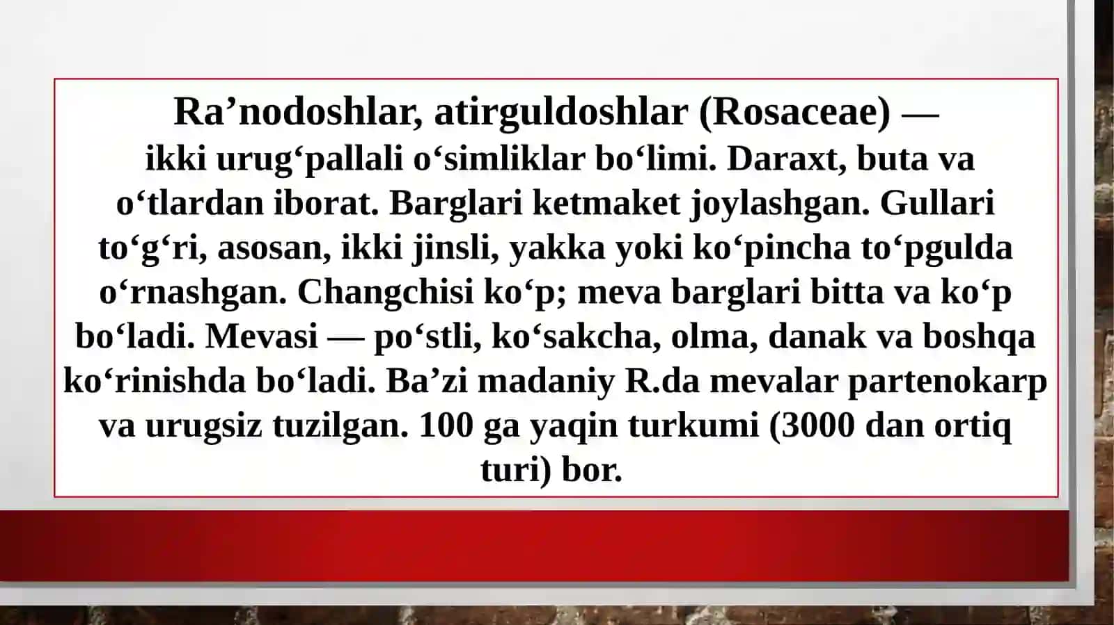 Ra'nodashlar oilasi 4