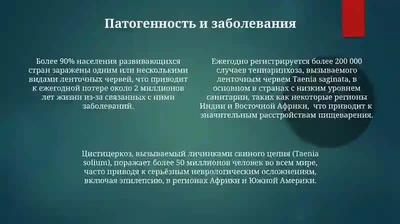 Ленточные черви 4