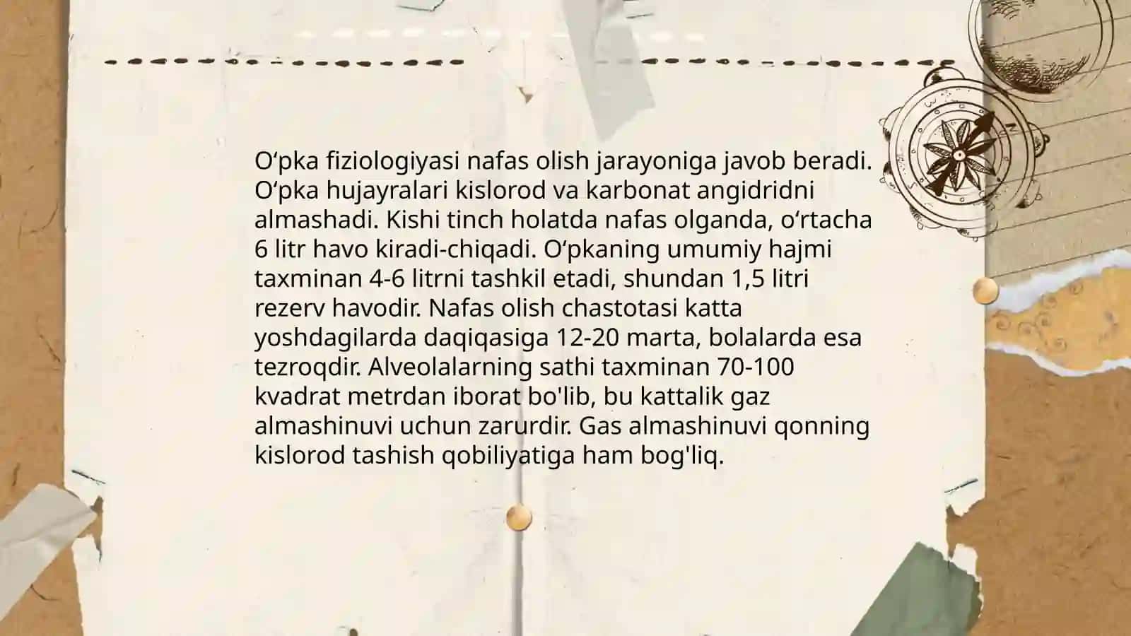 Oʻpka anatomiyasi 4