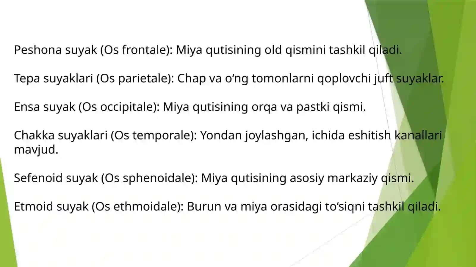 Kalla suyagining rentgen anatomiyasi 4