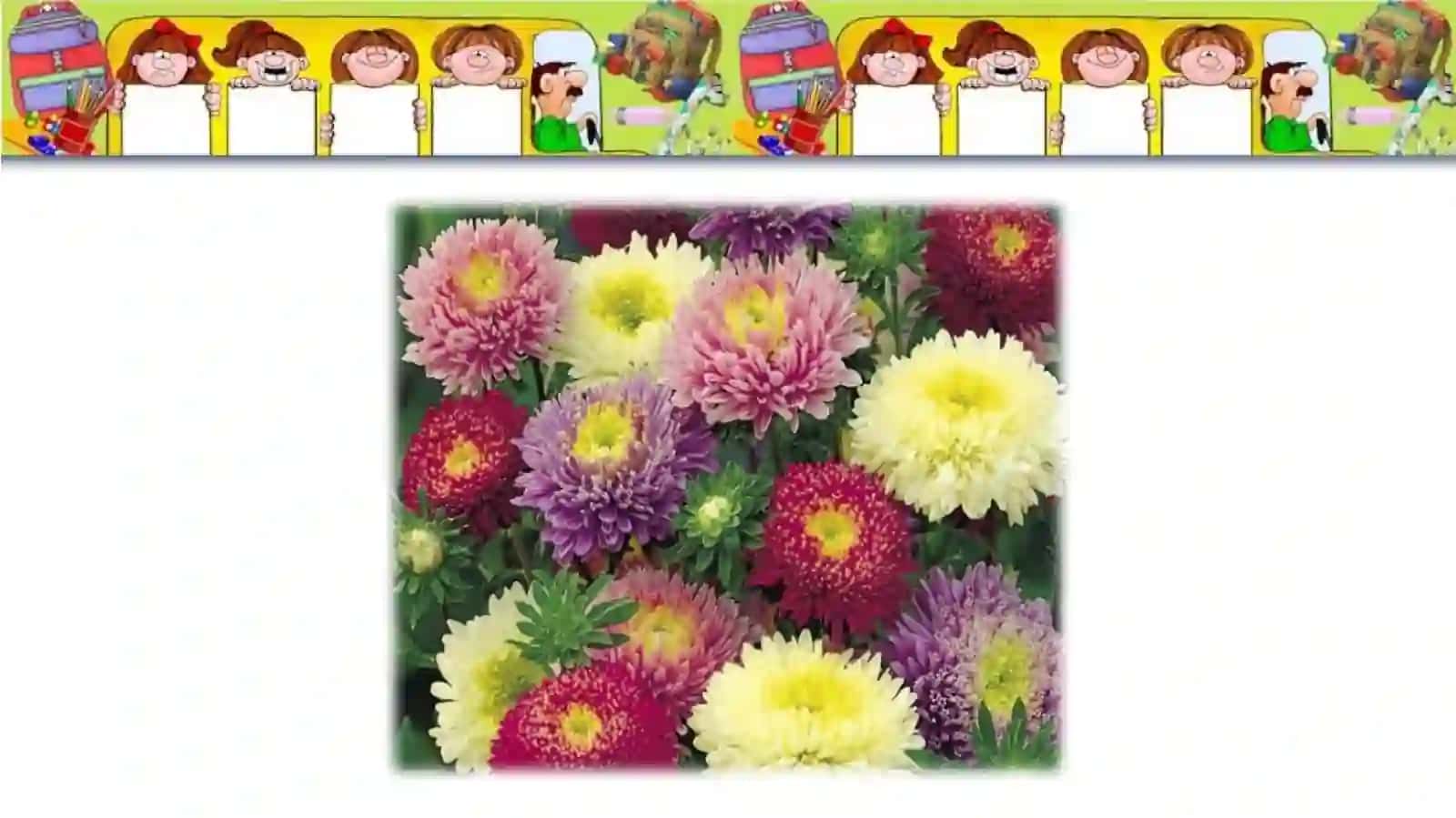 «УЧИМ БУКВЫ» 4