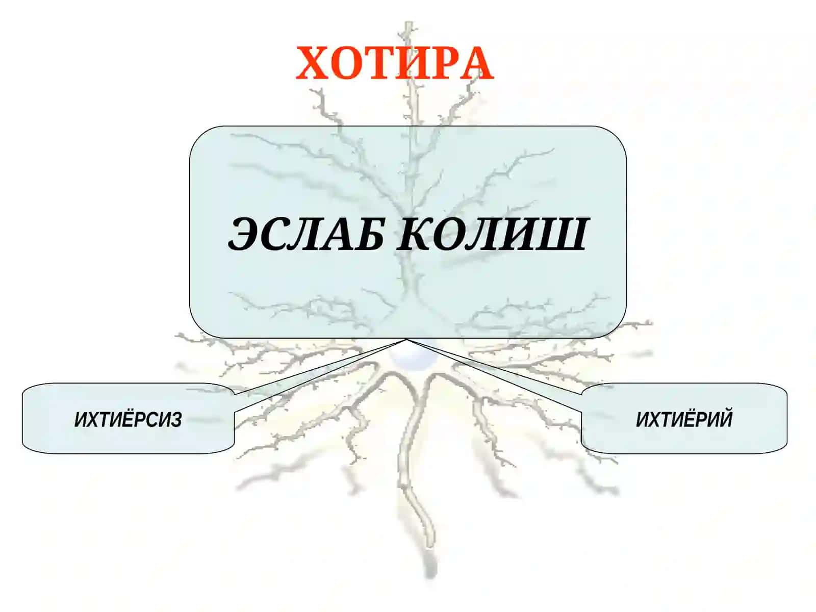 Психиатрия 4
