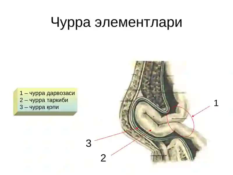 Қоринолди девори тўғри мушаклар диатези 4