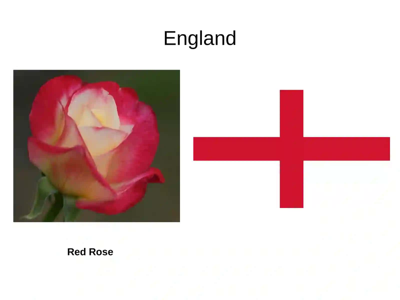 The United Kingdom 4