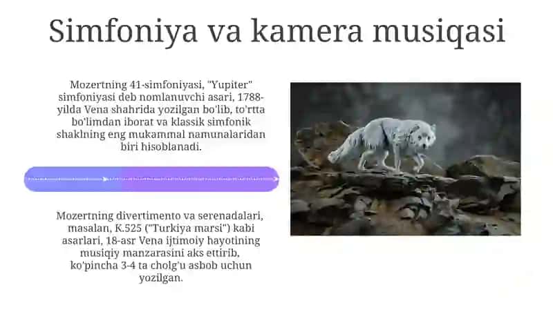 Volfgang Amadey Motsart 4