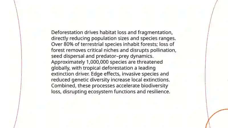 Deforestation 4
