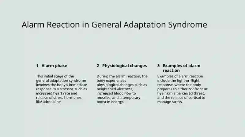 General Adaptation Syndrome 4