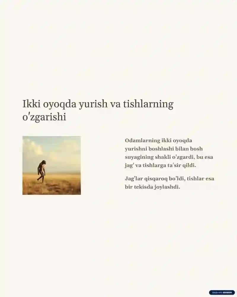 tish evolutsiyasi 4