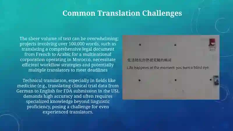 The Translation Process 4