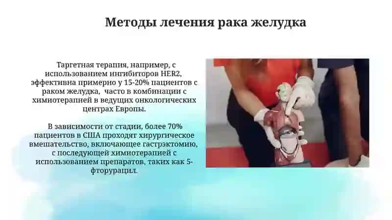 Сатторова Жасмина 4