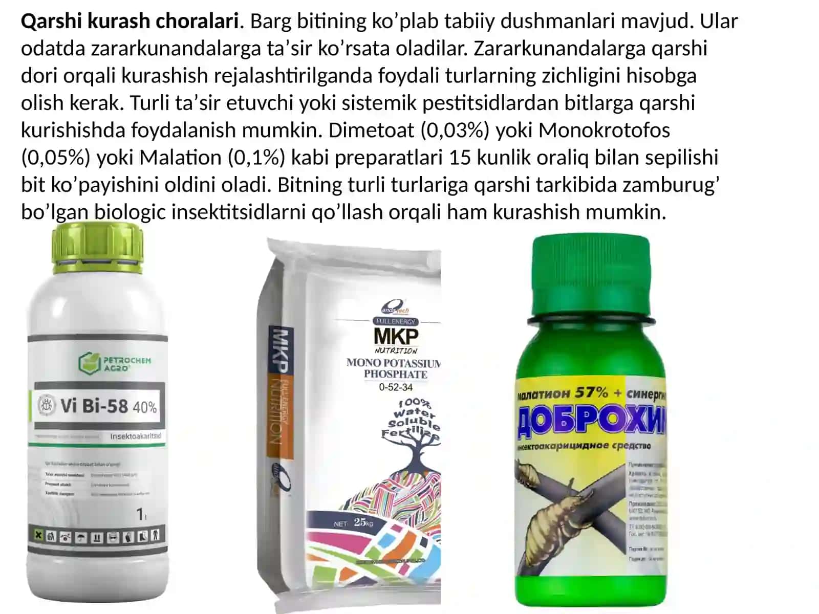 Barglarning shirabitlari 4