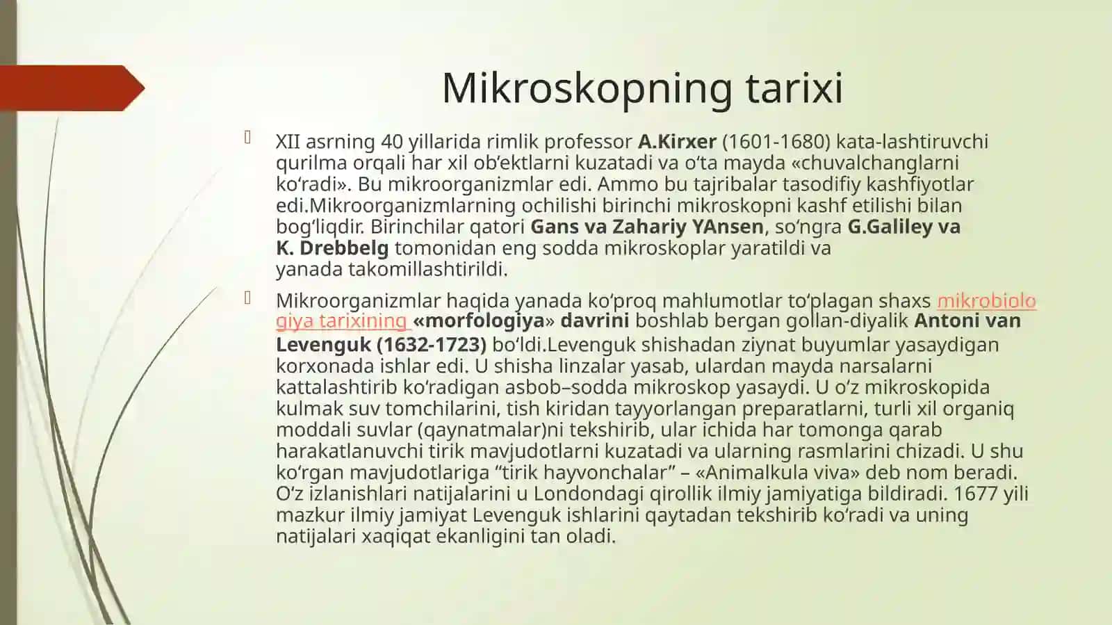 Mikroskop 4