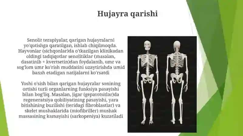 Sarkopeniya 4