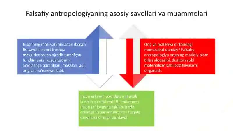 Insonfalsafasi(Falsafiyantropologiya) 4