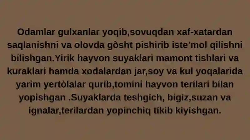 Òrta paleolit davri manzilgohlari 4