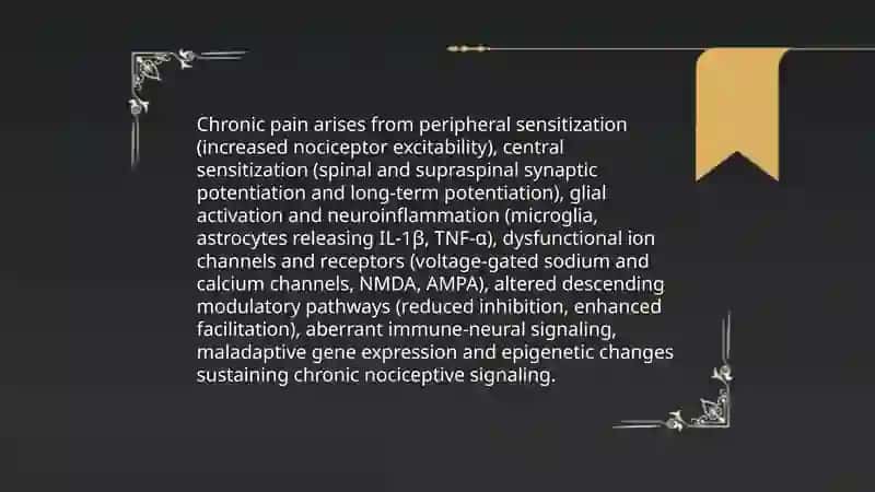 Chronic pain. Make a presentation 4