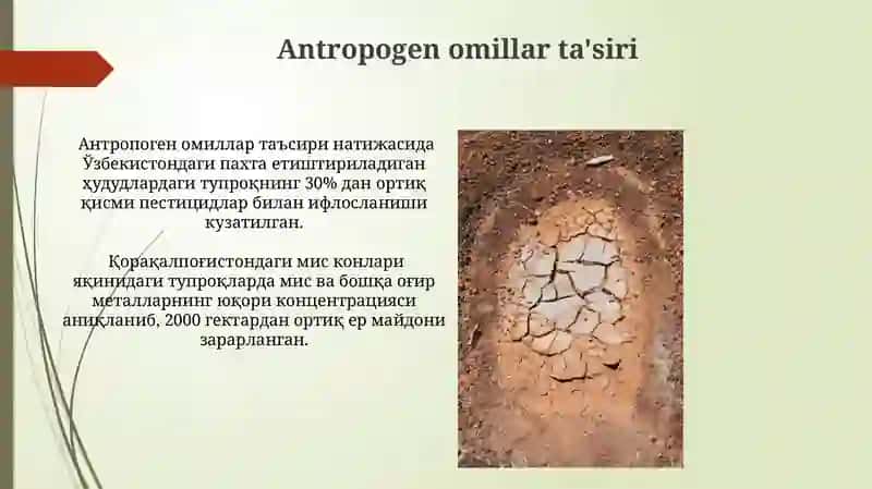 Anthropogenic Impact on Soil Pollution 4