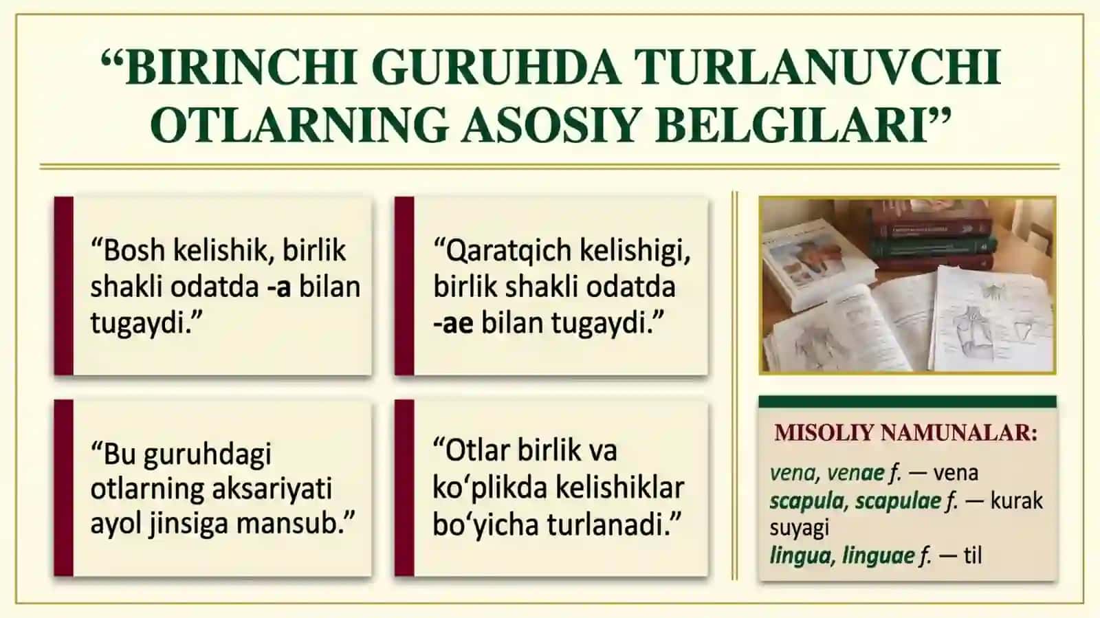 Birinchi guruhda turlanuvchi otlar 4