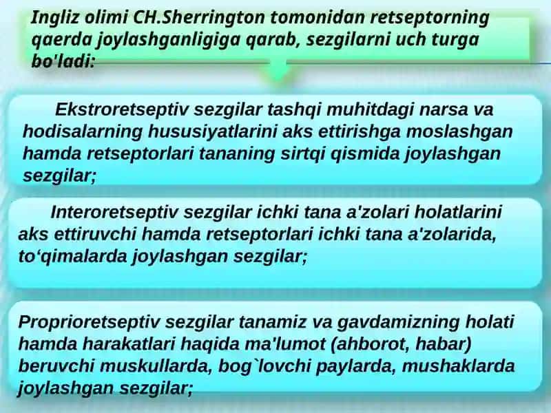 Sezgi 4