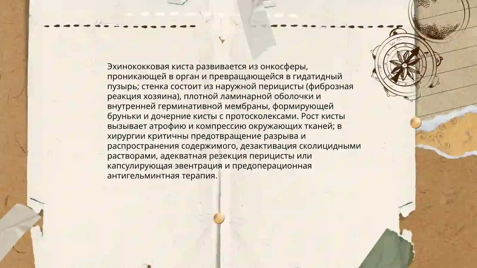 Эхинококи в хирургии 4