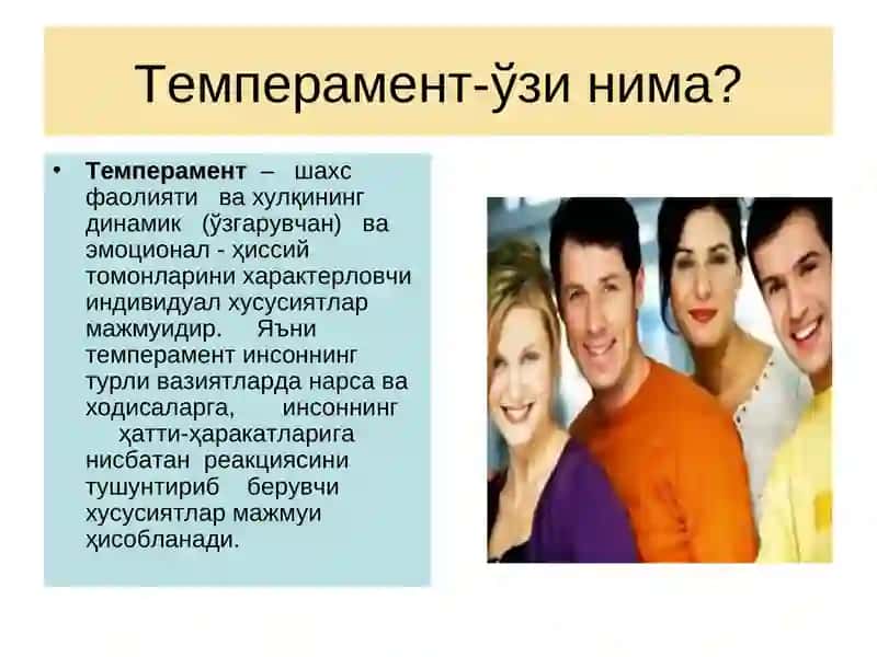 Темперамент 4