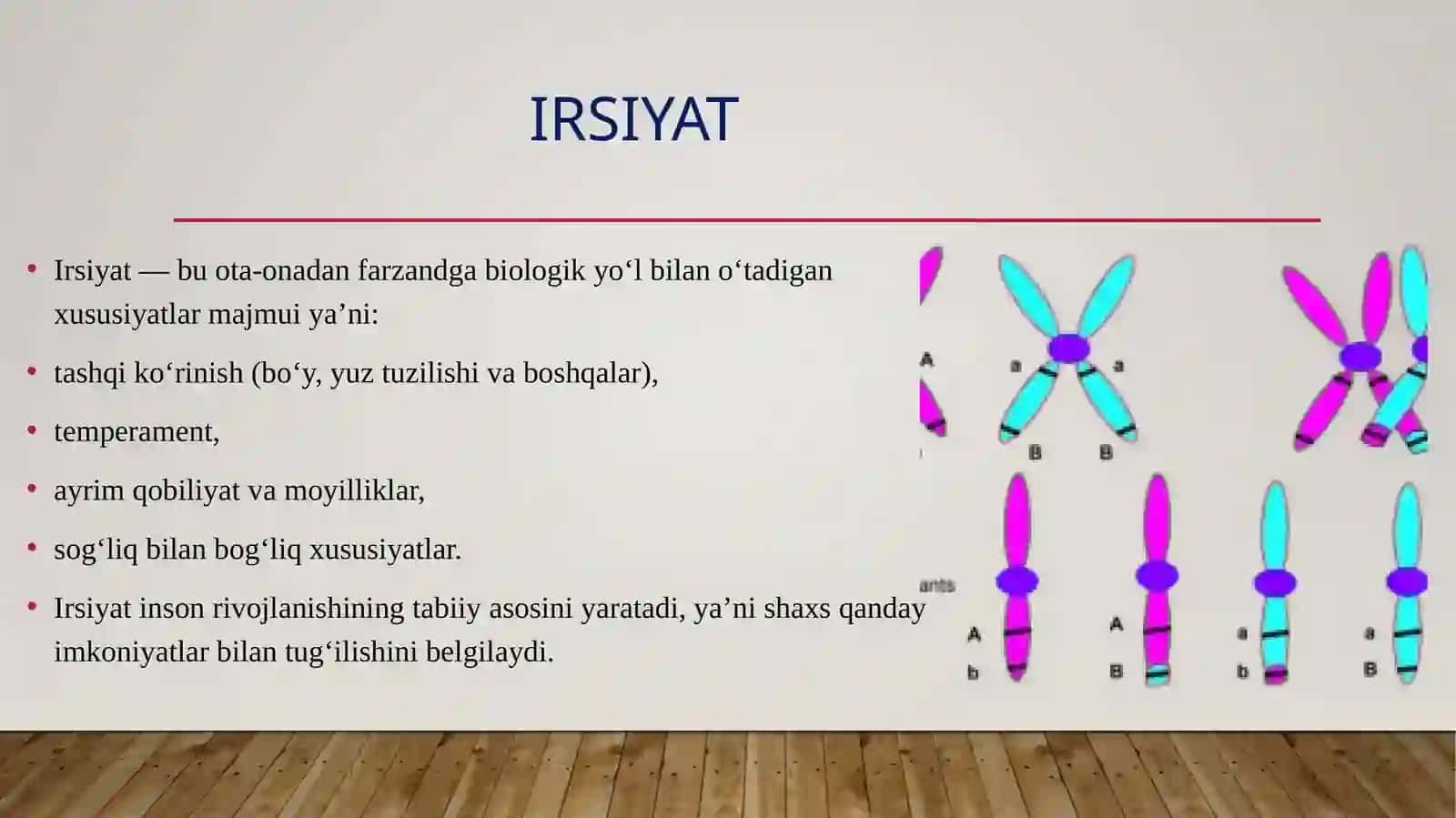 Shaxs rivojlanishiga ta’sir etuvchi omillar 4