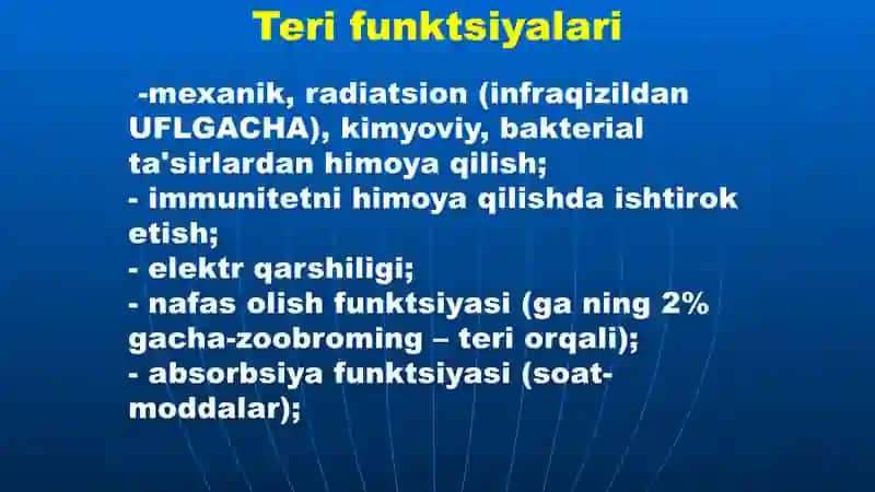 Teri va uning hosilalari / ppt 4