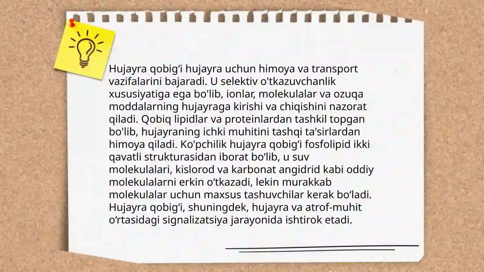Hujayra qobigʻi 4