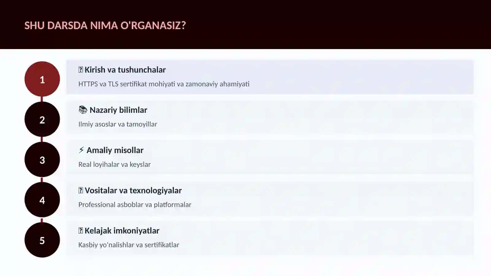 HTTPS va TLS sertifikat 4