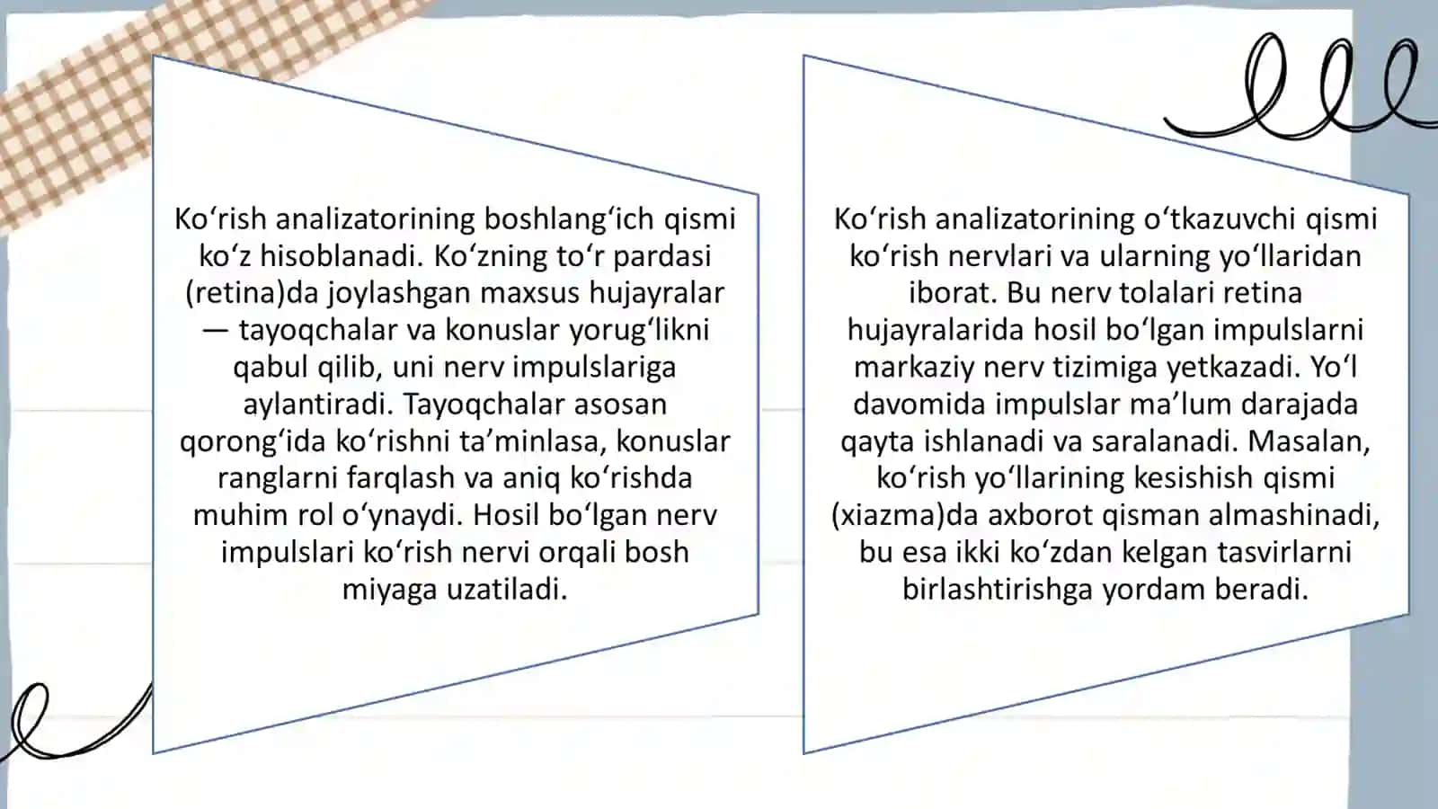 KO’RISH MARKAZI 4