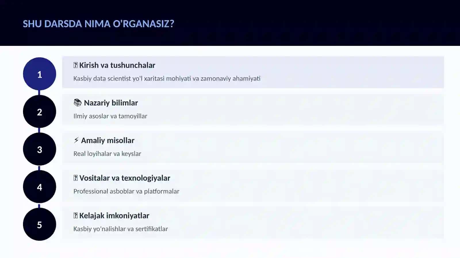 Kasbiy data scientist yo'l xaritasi 4