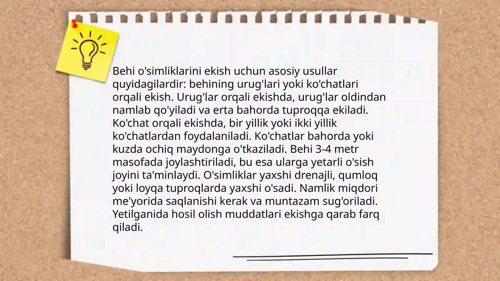 Bеhi o'simligi 4