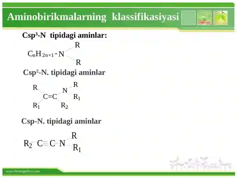 Аzоtli оrgаnik birikmаlаr. Аminlаr 4