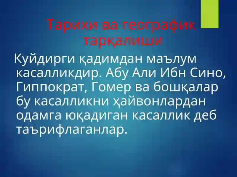 Куйдирги(Anthrax)  KUYDIRGI 4