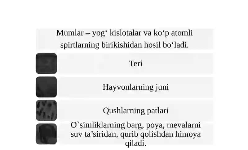 Lipidlar 4