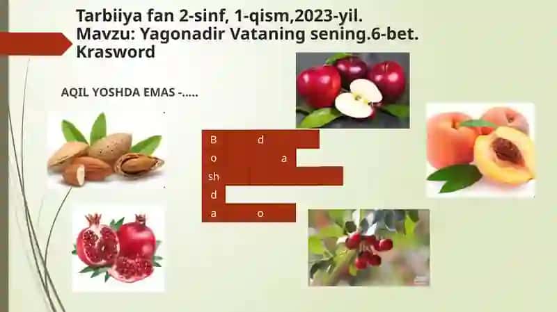 Yagonadir Vataning sening 4