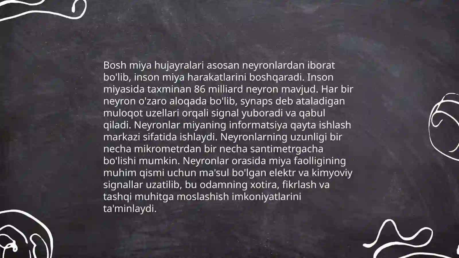 Bosh miya anatomiyasi 4