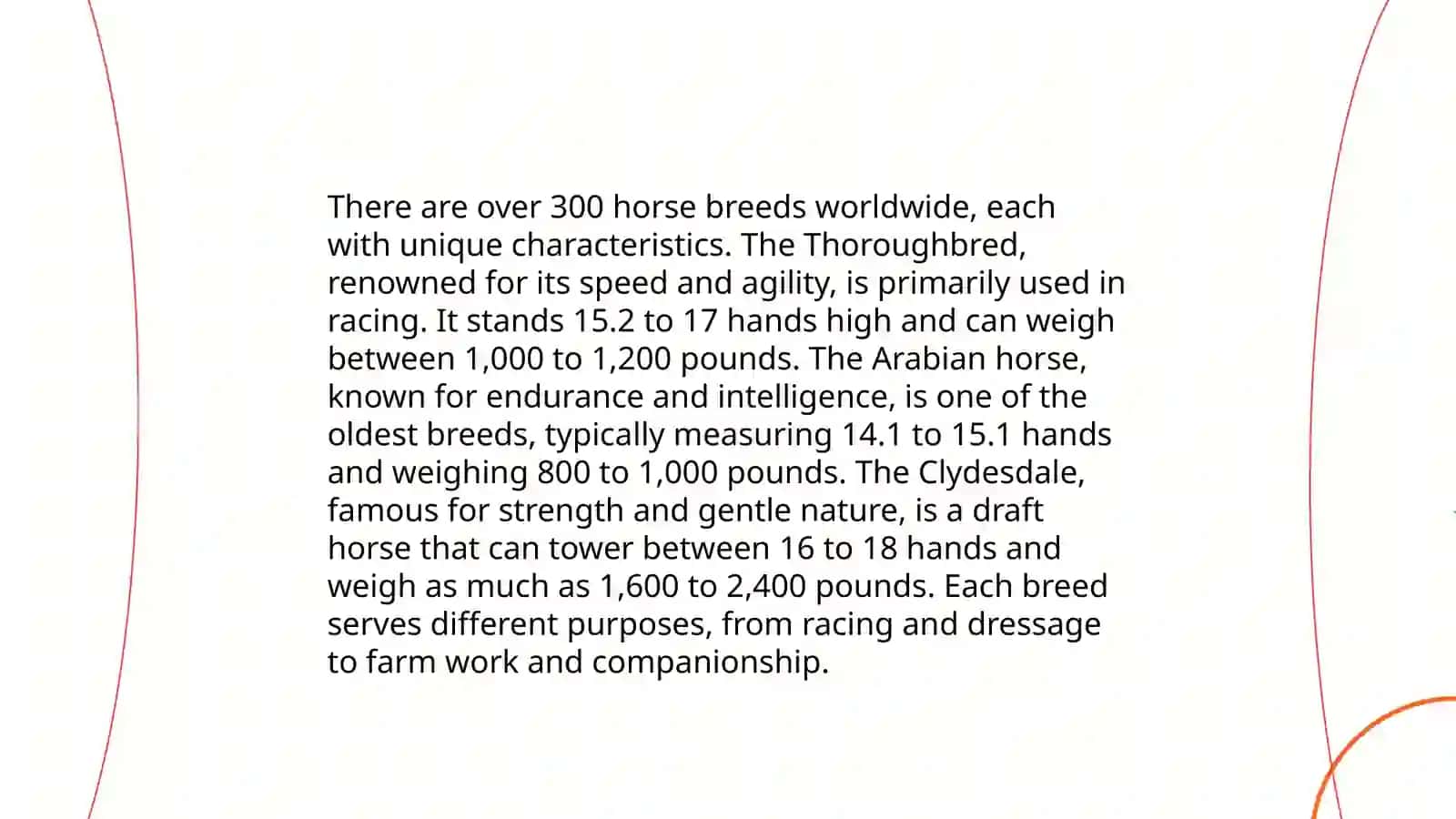 Horse 4