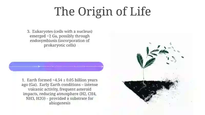 Life on Earth 4