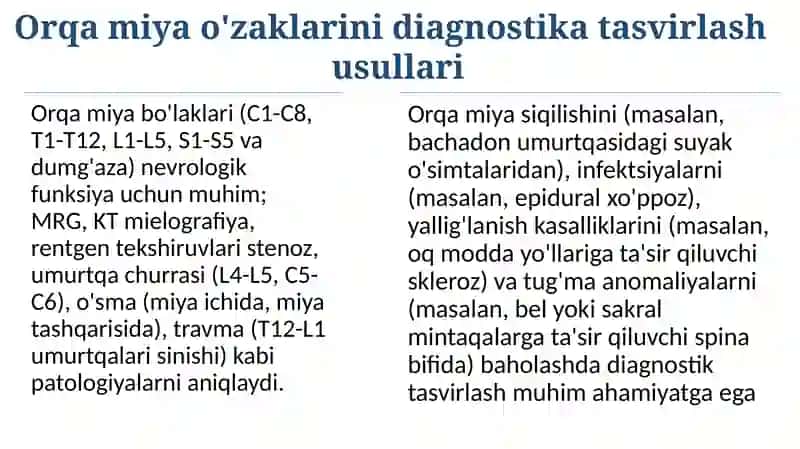 Orqa miya o'zaklari 4