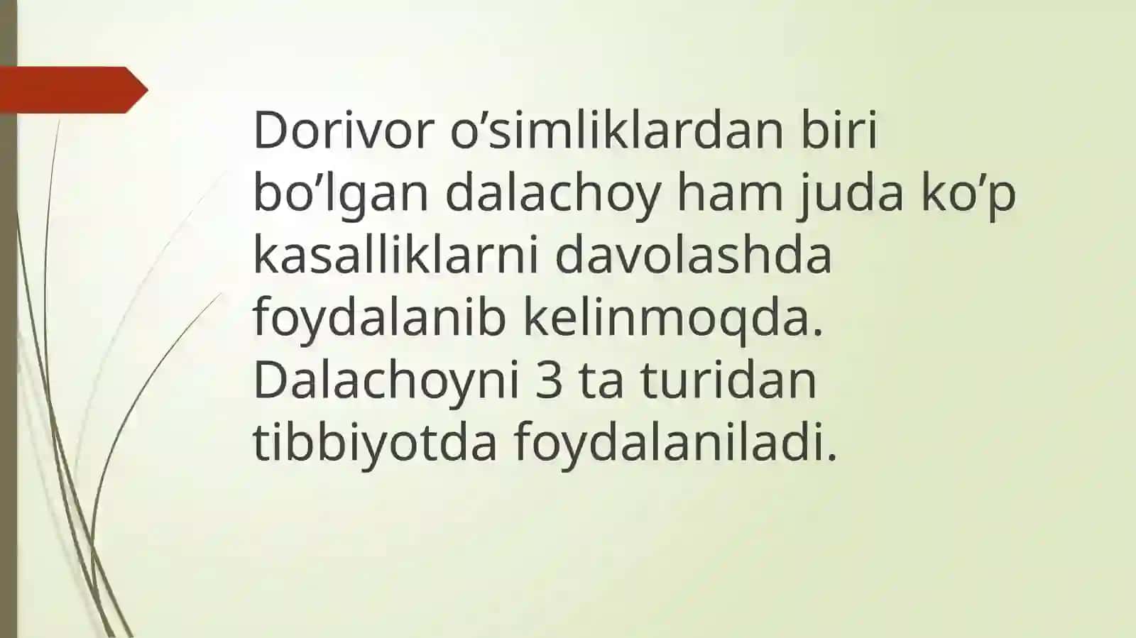 DALACHOY 4