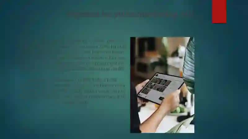 Korxoning segmentar hisoboti 4