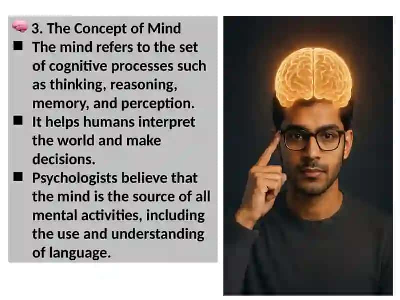 Ppt about language&mind 4