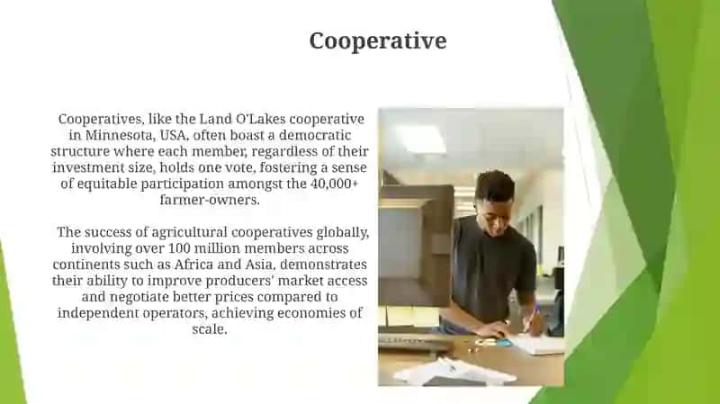 Business and its types 4