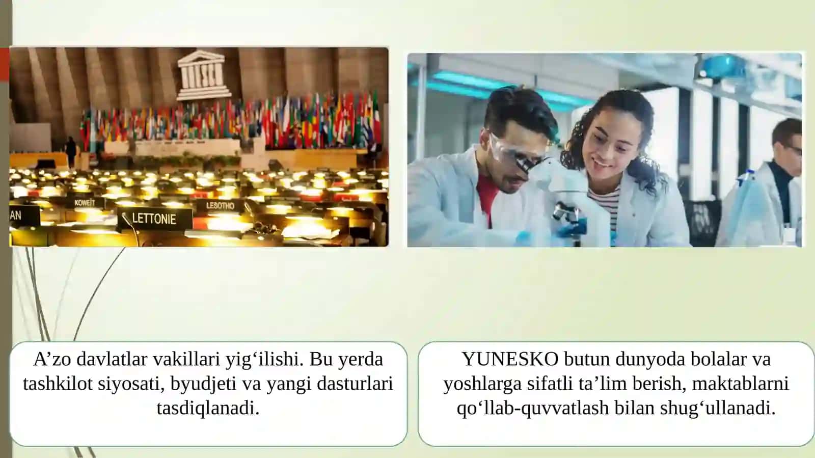 YUNESKO va uning faoliyati 4