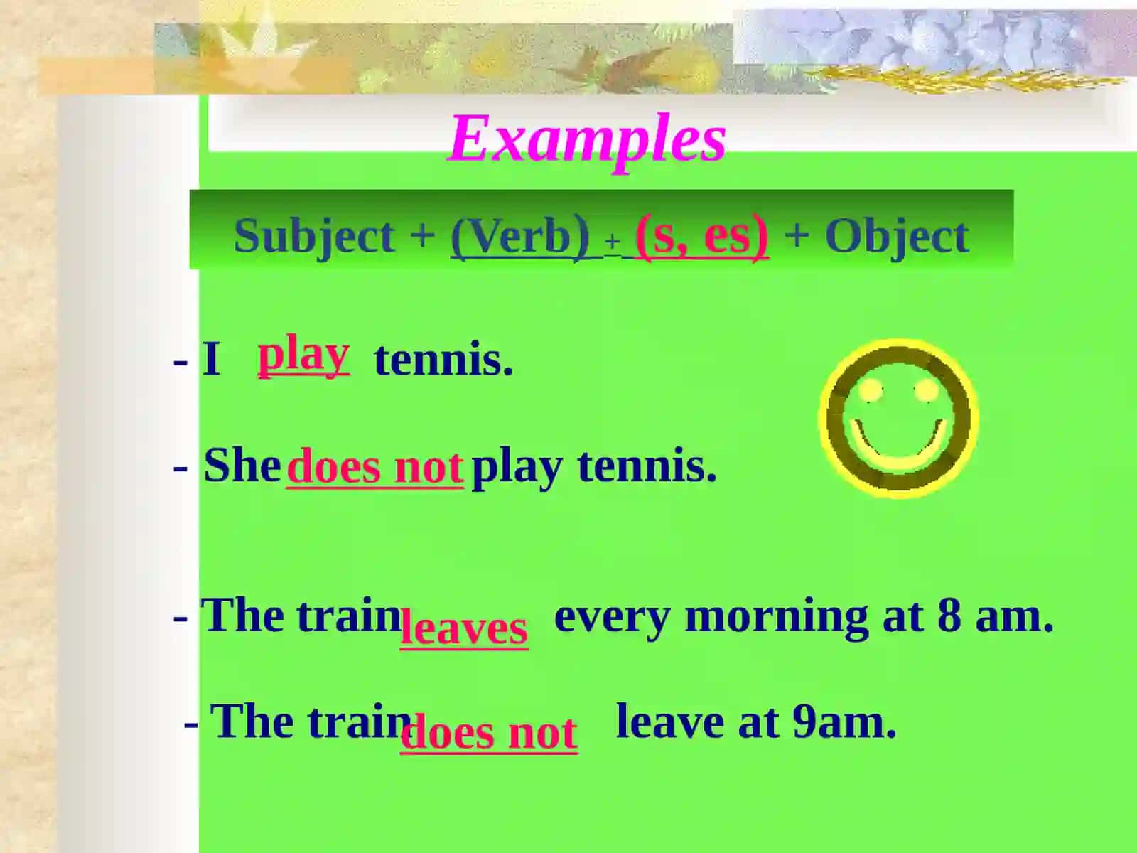 The Present Simple 4