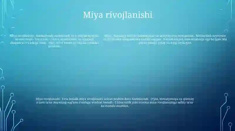 Miya (Brain) 4